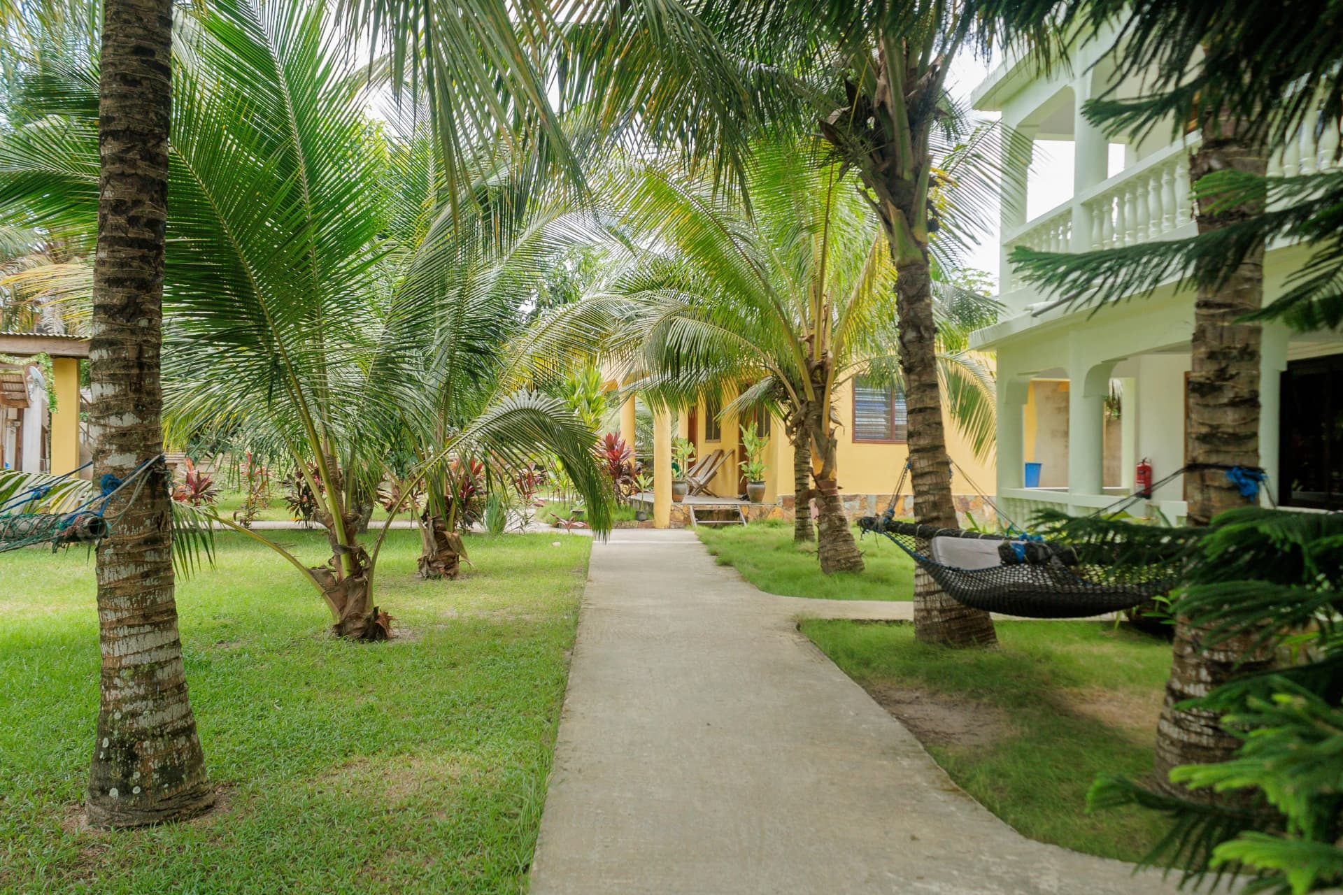 Laughing Goat Busua yard